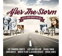 Various Artists - After the Storm