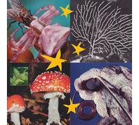 Various Artists All Things Considered Vol.2 (Vinyl)