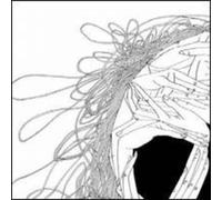 Various Artists - Amai #1/4 [Vinilo]