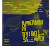 Various Artists - America is Dying Slowly