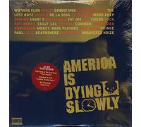 Various Artists - America is Dying Slowly