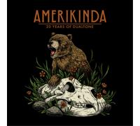Divers artistes – Amerikinda: 20 Years of Dualtone – Vinyle