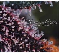 Various Artists - Amsterdam Cafe Selection #2