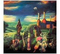 Various Artists – Animals Reimagined – Hommage à Pink Floyd – Vinyle (Pink)