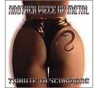 Various Artists - Another Piece of Metal
