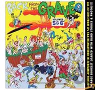 Various Artists Back from the Grave 5+6 (CD)