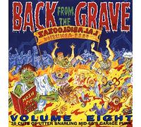 Artistes divers – Back from the Grave Vol. 8 – Vinyle 2xLP