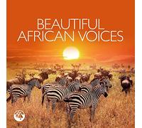 Various Artists – Beautiful Africa – Import – Zyx Music