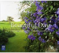 Various Artists - Beautiful Day