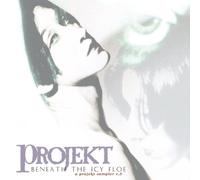 Various Artists - Beneath ICY Floe 5-Projekt Sampler