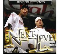 Various Artists - Big Fedi Presents: The Next Level