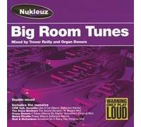 Various Artists - Big Room Tunes: Mixed Trevor Reilly & Organ