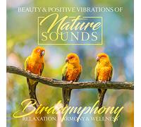Various Artists - Birdsymphony [Import]