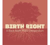 Various Artists - Birthright: A Black Roots Music Compendium (Various Artists)