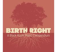 Various Artists Birthright: A Black Roots Music Compendium (CD) Album