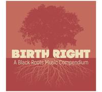 Various Artists - Birthright: A Black Roots Music Compendium (Various Artists) [Compact Discs]