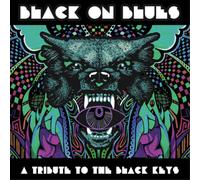 Various Artists Black On Blues: A Tribute to the Black Keys (Vinyl) 12" Album