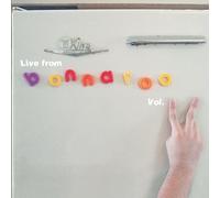 Various Artists - Bonnaroo 2