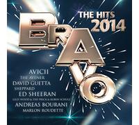 Various Artists – Bravo the Hits 2014