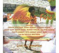 Various Artists - Breathing Fire