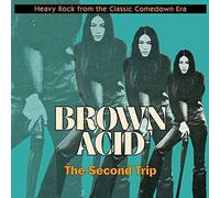 Various Artists Brown Acid: The Second Trip (Vinyl) 12" Album
