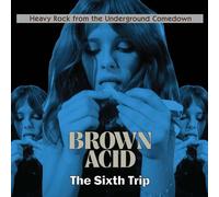 Various Artists Brown Acid: The Sixth Trip (Vinyl) 12" Album