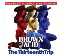Compilation - Brown Acid the Thirteenth Trip