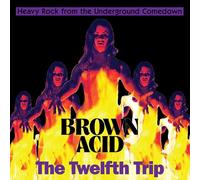 Various Artists – Brown Acid: The Twelfth Trip – Vinyle 12" 33 tours
