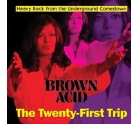 Artistes variés – Brown Acid the Twenty First Trip – Vinyle LP