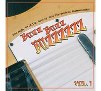 Various Artists - Buzz Buzz Buzzzzzz 1