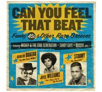 Artistes divers – Can You Feel That Beat: Funk 45s and Other Rare Grooves – Vinyle – J&D