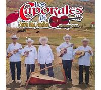 Various Artists - Caporales De Santa Ana Amatlan