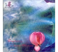 Various Artists - Capturing a Lotus Blossom