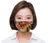 Various Artists - Carnaval 2011 Sambas de Enredo/Various