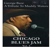 Various Artists - Chicago Blues Jam - Volume Three - George Baze - A Tribute To Muddy Waters