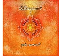 Various Artists - Chillogram-13tr [Import]