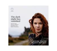 Various Artists - Dark Night Has Vanished [Compact Discs]