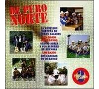 Various Artists - De Puro Norte 2