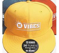 Various Artists - Di Vibes-Japanese Reggae Selection/Various [Import]
