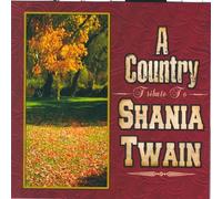 Various Artists - DJ a Country Music Tribute to Shania Twain