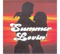 Various Artists - DJ Summer Lovin