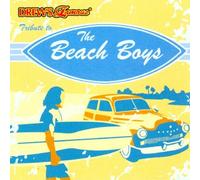 Various Artists - Drew's Famous Tribute to The Beach Boys