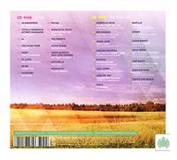 Various Artists - Electric Summer