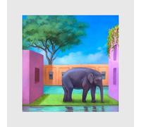 Various Artists - Elephant in The Room/Various [Import]