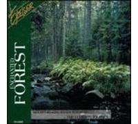 Various Artists - Enchanted Forest