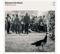 Various Artists – End Of The Road Presents: Between The Music – Vinyle LP blanc – Victrola