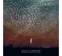 Various Artists - Enter the Labirhythm