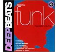 Various Artists - Essential Dancefloor Classics 1