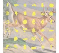 Various Artists - Fields and Streams [Import]