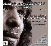 Various Artists - Fiesta Gitana Con.Vol.1 [Import]
